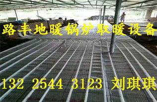 路豐豬舍取暖設備 專為豬舍采暖設計的高效地暖鍋爐，現(xiàn)貨批發(fā)選購指南